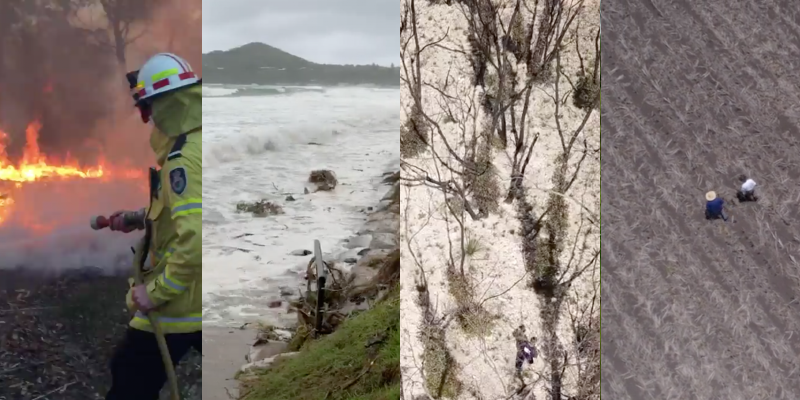 A four-panel photo compilation of a firefighter, a flooding beach, a burnt-out forest, and a drought-stricken field